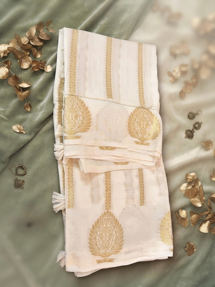 Banarasi georgette saree
